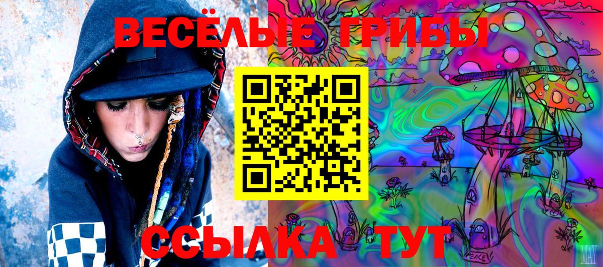 Псилоцибиновые грибы Psilocybe Семёнов
