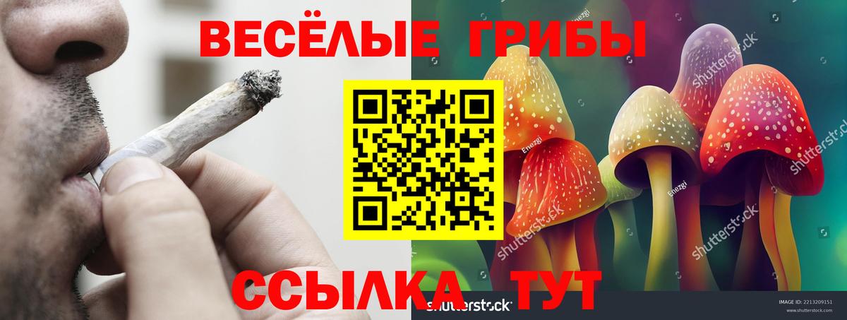 Псилоцибиновые грибы Magic Shrooms  закладки  Семёнов  Вход с VPN 